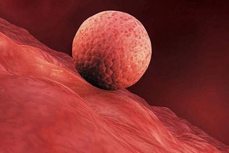 贵阳三代试管不排队试管医院汇总，附试管助孕详细流程介绍