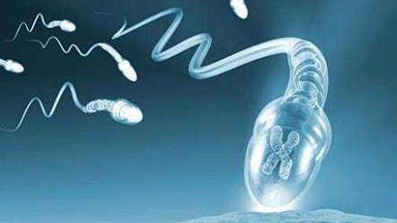 沈阳三代试管助孕医院排名，哪些医院上榜了