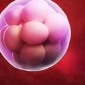 女性怀孕困难怎么办，在阜阳市有医院能做试管婴儿吗？听听当地姐妹们怎么说