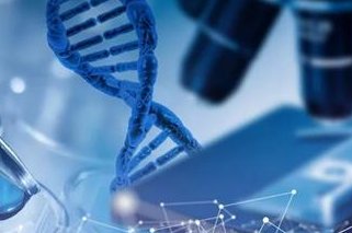 枣庄妇幼保健院完成三代试管婴儿治疗，成功率大概是？