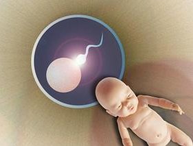 泰国试管婴儿的价格及详细清单